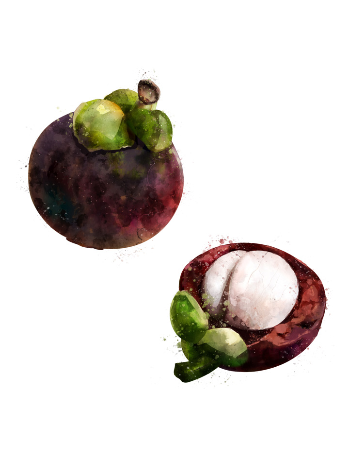 MANGOSTEEN SEPARATED